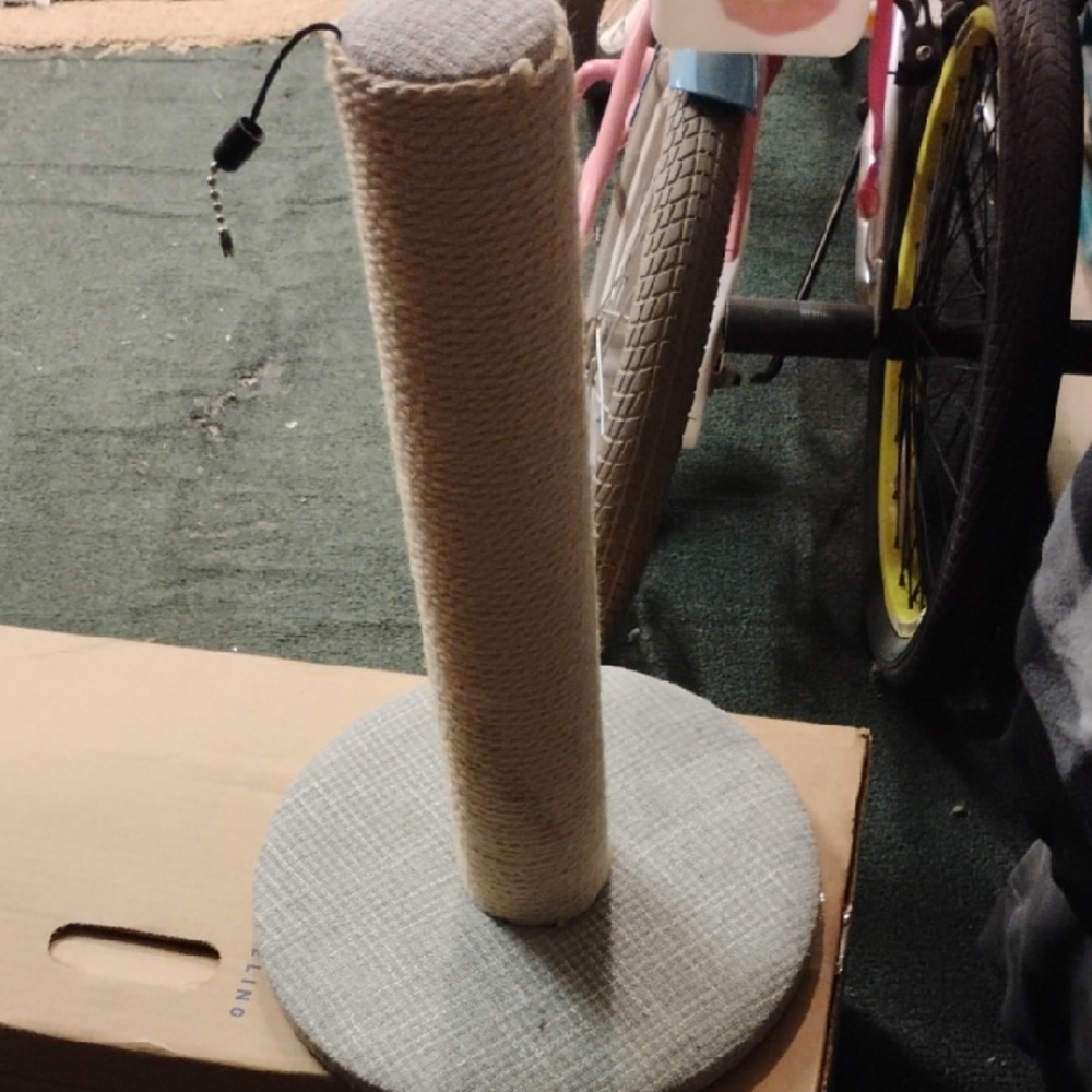 Gray Cat Scratching Post